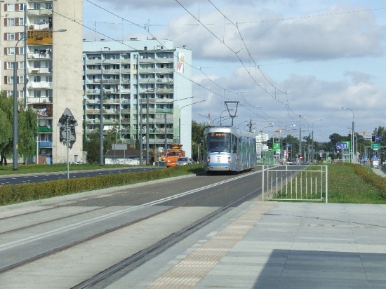 W 40 minut z Gaju na Pilczyce (Zobacz)