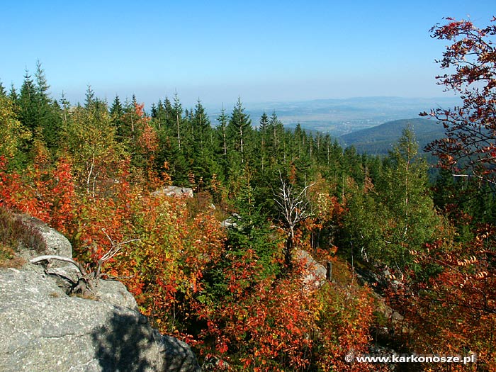 Góry w ferii jesiennych barw - Fot. www.karkonosze.pl