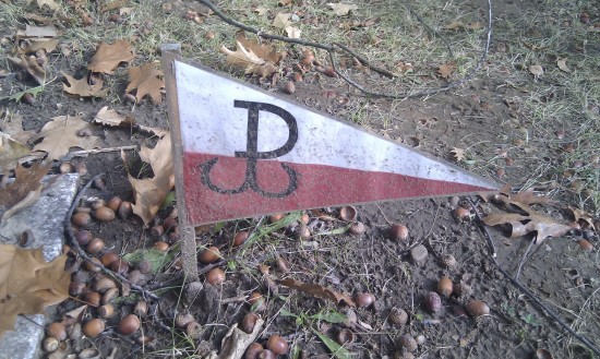 Ekshumacje na Osobowicach (Zdjęcia) - 10