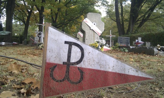 Ekshumacje na Osobowicach (Zdjęcia) - 11