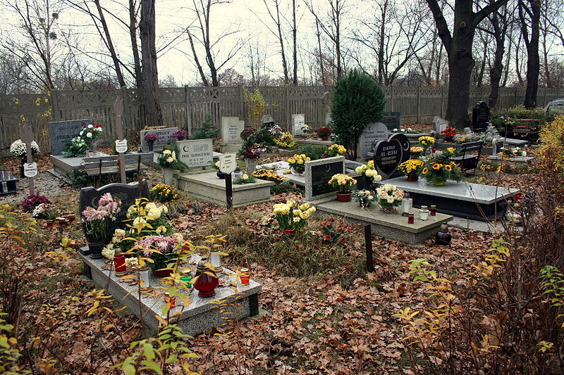 Tłumy na wrocławskich cmentarzach - Fot. Siliesiac/Wikipedia