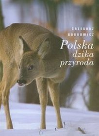 Kolejny autorski album Grzegorza Bobrowicza - 