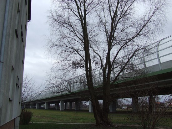 Jednym radość, innym płacz i rozpacz - 8