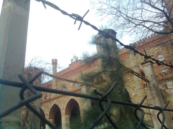 Pałac odzyska błysk i blask? (Zdjęcia) - 12