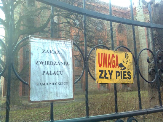 Pałac odzyska błysk i blask? (Zdjęcia) - 4