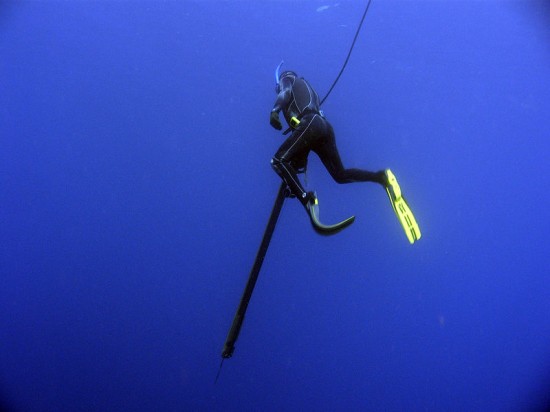 Podwodne łowy z kuszą  - fot. Guy Keulemans / wikipedia.org