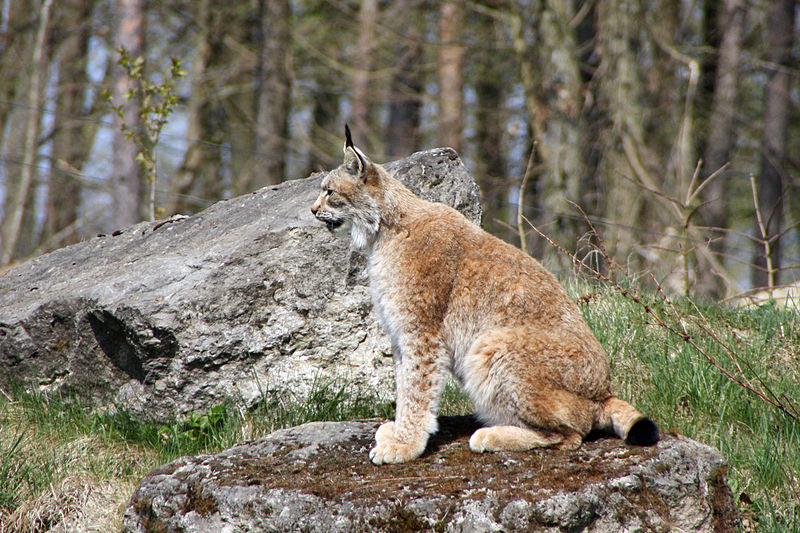 Co nowego we wrocławskim Zoo?