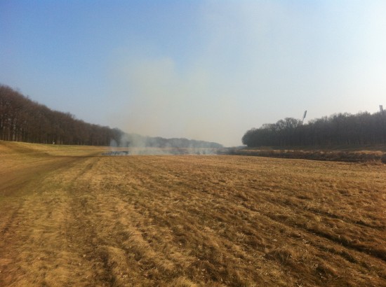 Wypalanie traw nad Odrą - 3