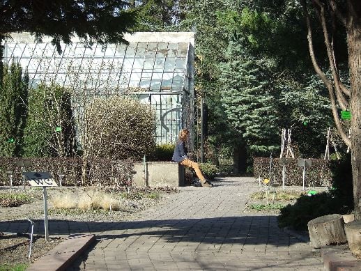 Ogród Botaniczny już otwarty (Zdjęcia) - 32