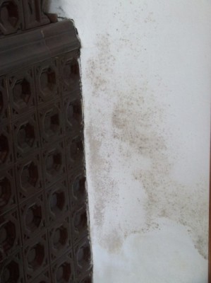 Ciężkie życie w ruinie (Zdjęcia) - 15