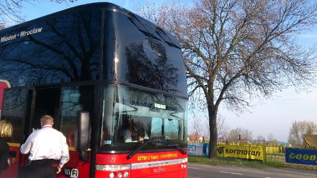 Ptak kontra autobus (Zobacz) - 0