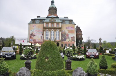 Dolnośląski Rozkład Jazdy w Książu (Zobacz zdjęcia) - 1