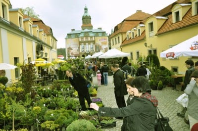 Dolnośląski Rozkład Jazdy w Książu (Zobacz zdjęcia) - 32