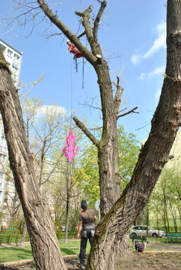 UDANA ZIELONA ADRENALINA - 0
