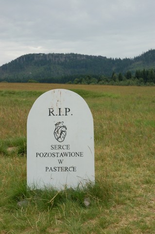 DRJ Pasterka w środku lata - 6