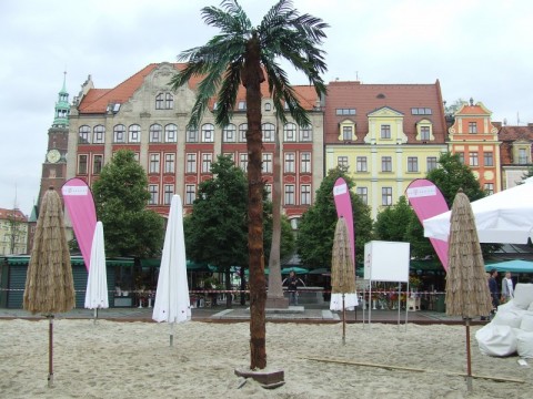 Startują Nowe Horyzonty! - 18