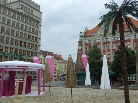 Startują Nowe Horyzonty! - 19