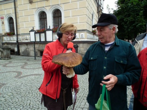 Lądeckie Ludowe Zdroje - 3