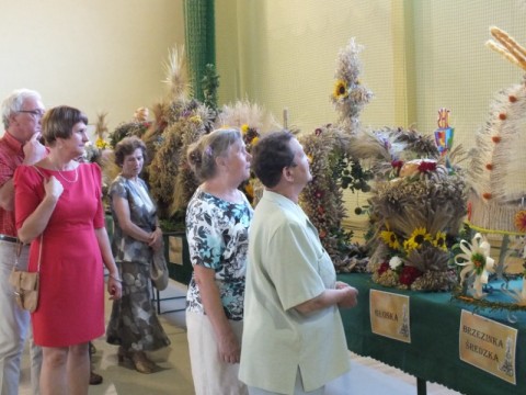DRJ na Festiwalu Lata w Miękini - 11