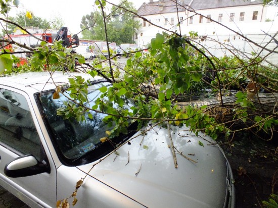 Drzewo przywaliło dwa auta (Zobacz) - Fot. Tomasz Przywłocki