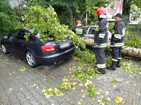 Drzewo przywaliło dwa auta (Zobacz) - 11