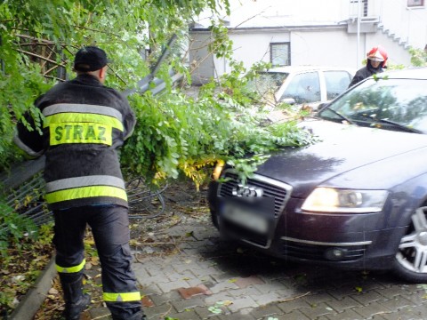 Drzewo przywaliło dwa auta (Zobacz) - 15