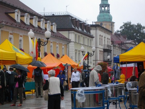 Idzie wrzesień - czas na Jelenią  Górę - 11