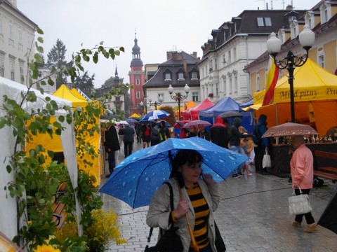 Idzie wrzesień - czas na Jelenią  Górę - 15