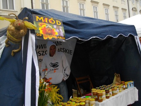 Idzie wrzesień - czas na Jelenią  Górę - 14