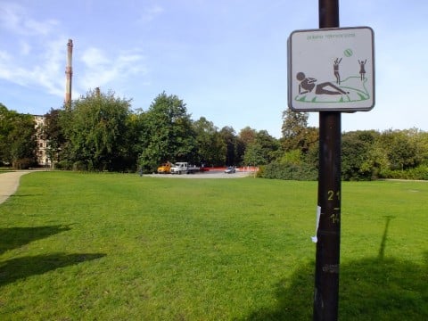 Park Staszica jak nowy (Zobacz) - 9