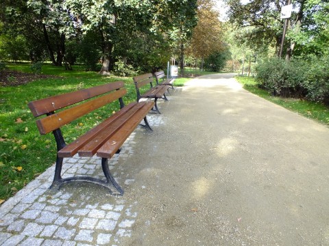 Park Staszica jak nowy (Zobacz) - 14