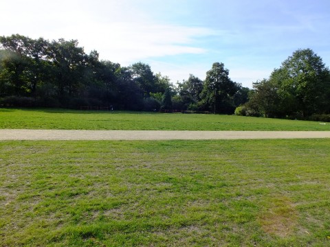 Park Staszica jak nowy (Zobacz) - 8