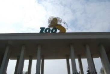 Zoo  na jesień obniża ceny biletów - fot. archiwum prw.pl
