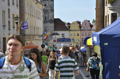 DRJ: Święto Ceramiki w Bolesławcu - 4