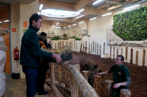 Huczne urodziny we wrocławskim Zoo - 8