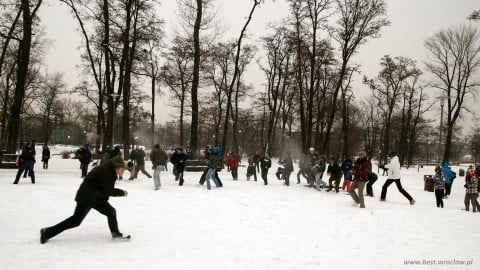 Wielka bitwa na śnieżki! (Galeria) - 24