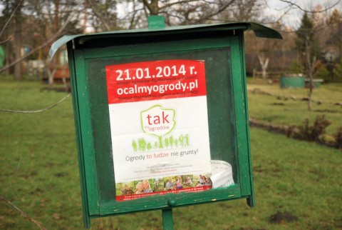 Co z ogródkami działkowymi? - 1