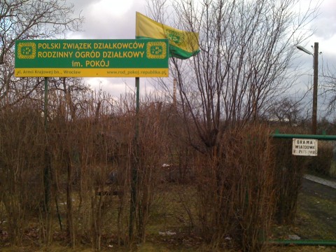 Co z ogródkami działkowymi? - 15