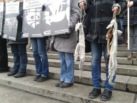 Protest przeciw budowie fermy norek - 1