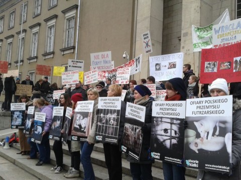 Protest przeciw budowie fermy norek - 2