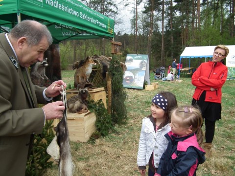 Święto Lasu z DRJ! (Zdjęcia) - 23