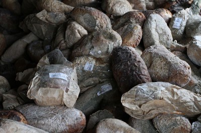Setki gnijących bochnów chleba... w Świdnicy (Posłuchaj i zobacz zdjęcia) - 1
