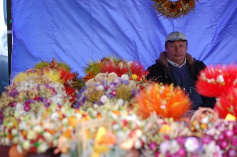 DRJ: Dolnośląska wieś zaprasza - 28