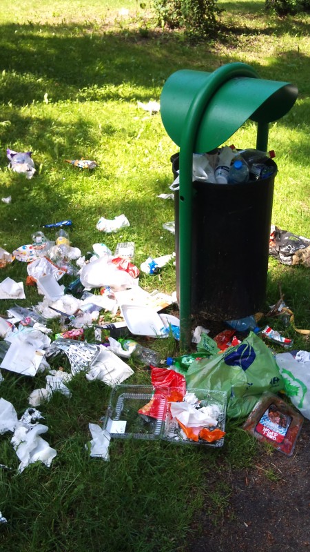 Stosy śmieci w Parku Grabiszyńskim - 9