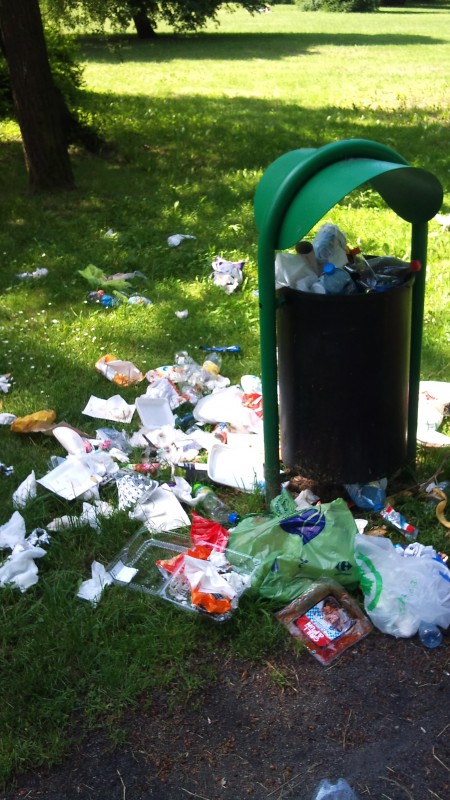 Stosy śmieci w Parku Grabiszyńskim - 10
