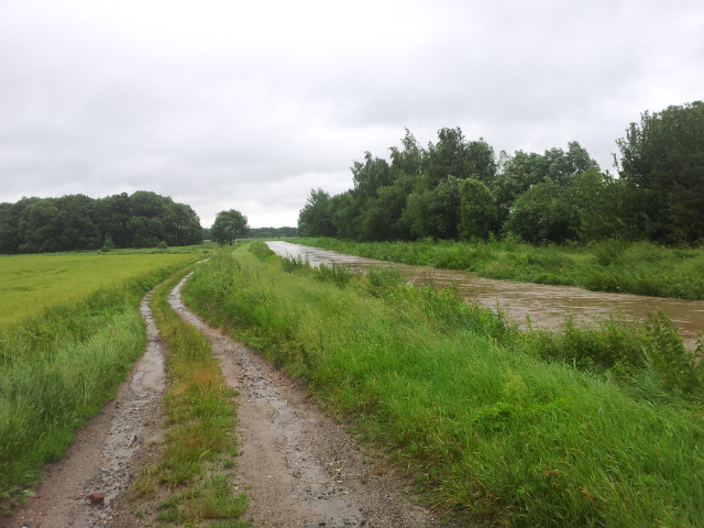 Dolny Śląsk walczy z żywiołem (Zobacz) - 10
