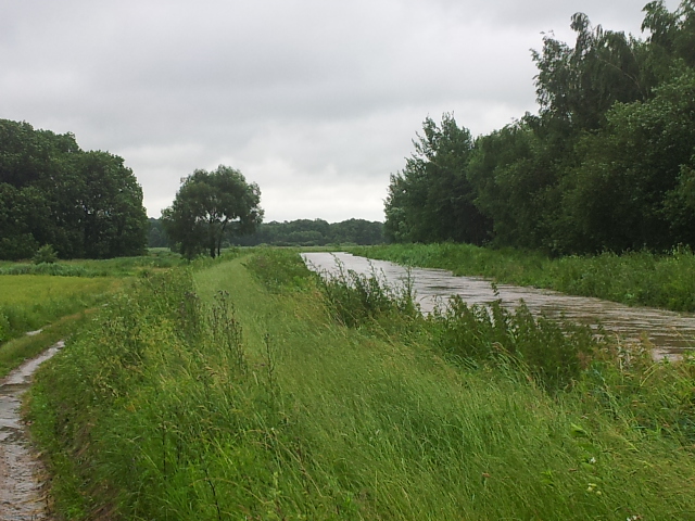 Dolny Śląsk walczy z żywiołem (Zobacz) - 12