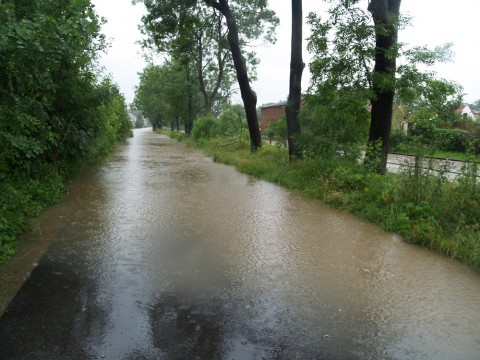Dolny Śląsk walczy z żywiołem (Zobacz) - 7