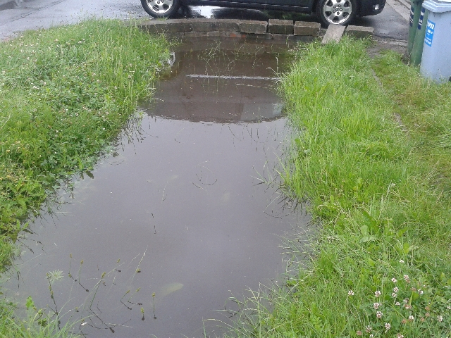 Z niepokojem wypatrują deszczu - 0