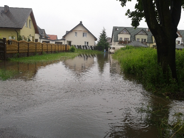 Z niepokojem wypatrują deszczu - 10
